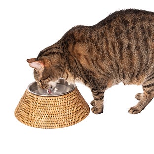 Artifacts Rattan Pet Bowl with Removable Stainless Steel Bowl - Honey brown